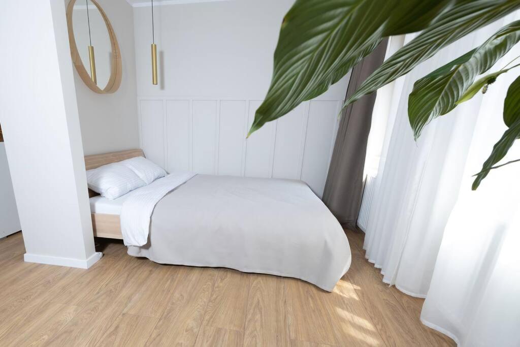 Design & Relax #Altstadt #Sauna Wittenberg 외부 사진